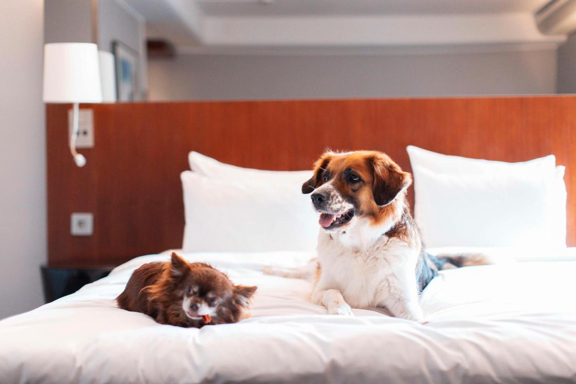 Radisson Blu Arlandia Hotel, Stockholm-Arlanda Bagian luar foto